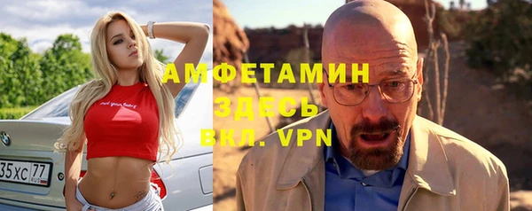 сатива Арсеньев