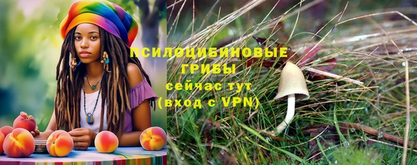 героин Алзамай