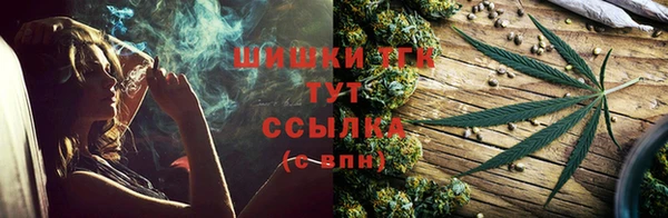 сатива Арсеньев