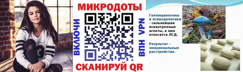 Псилоцибиновые грибы Psilocybe Дедовск
